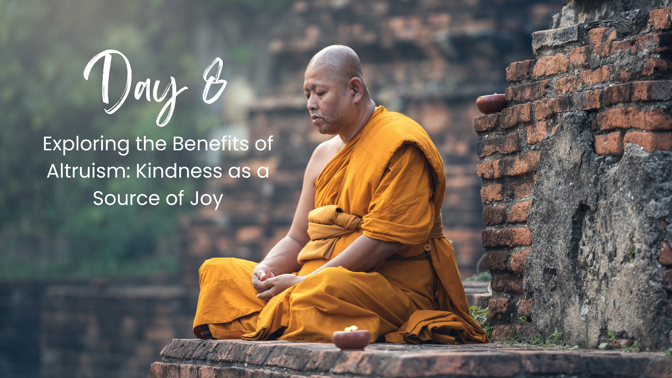 Day 8: Exploring the Benefits of Altruism: Kindness as a Source of Joy